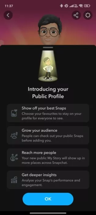 Screenshot of the terms of a public profile on Snapchat 