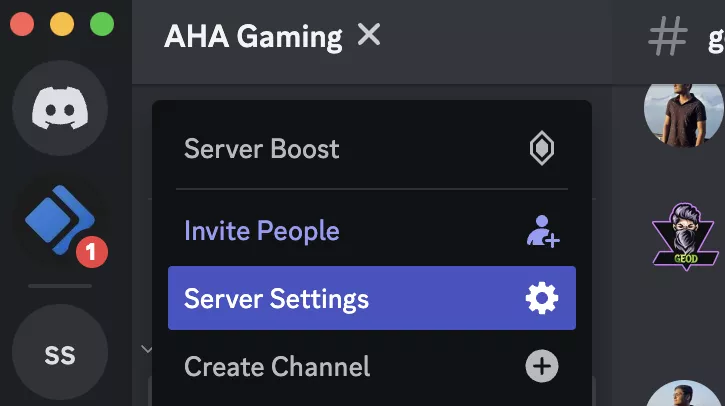 Screenshot of the Server settings in the discord app